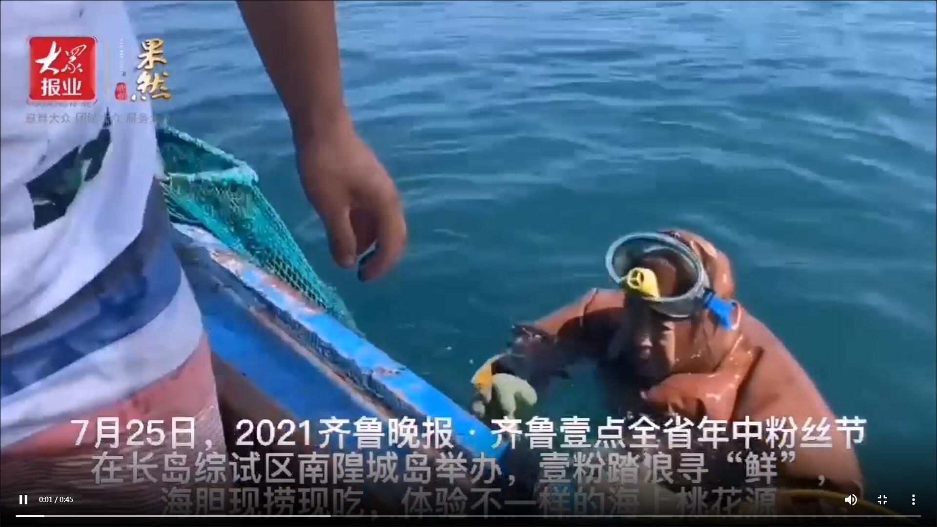 果然視頻|海膽現撈現吃！壹粉踏浪尋“鮮”，直呼太美味