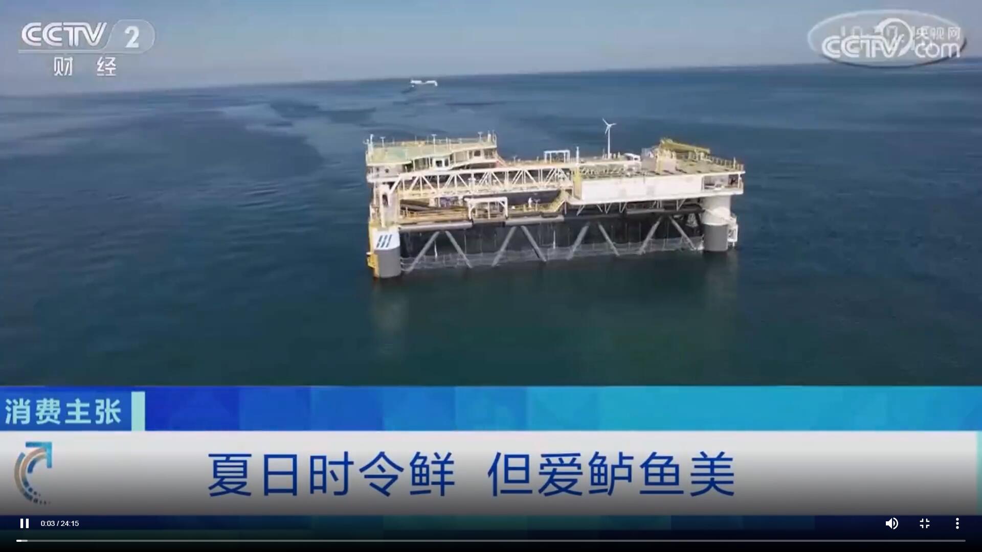 夏日時(shí)令鮮，但愛(ài)鱸魚(yú)美！經(jīng)海深海冷水鱸亮相CCTV-2《消費(fèi)主張》