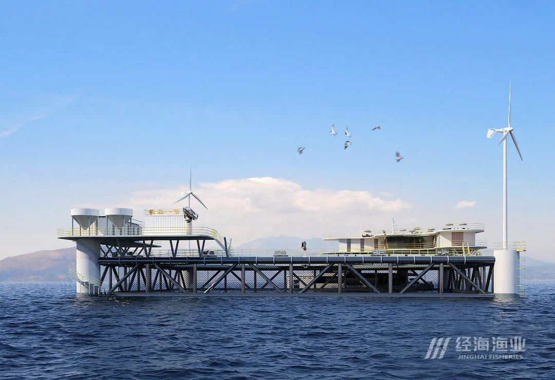 黑鲪增殖放流正當時經海奮楫篤行守初心