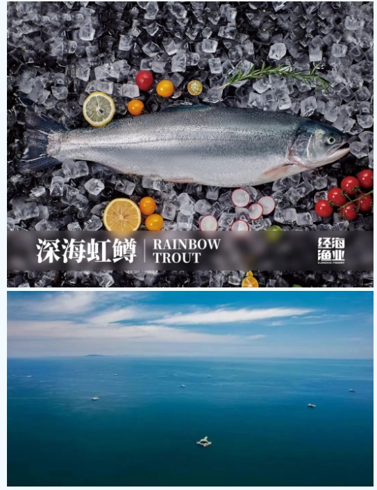 引領(lǐng)鮭鱒產(chǎn)業(yè)革新山東省重大科技創(chuàng)新工程“鮭鱒陸海接力全產(chǎn)業(yè)鏈關(guān)鍵技術(shù)攻關(guān)與應(yīng)用示范”項(xiàng)目啟動會在經(jīng)海漁業(yè)成功召開